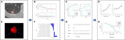 A combined predictive model based on radiomics features and clinical factors for disease progression in early-stage non-small cell lung cancer treated with stereotactic ablative radiotherapy